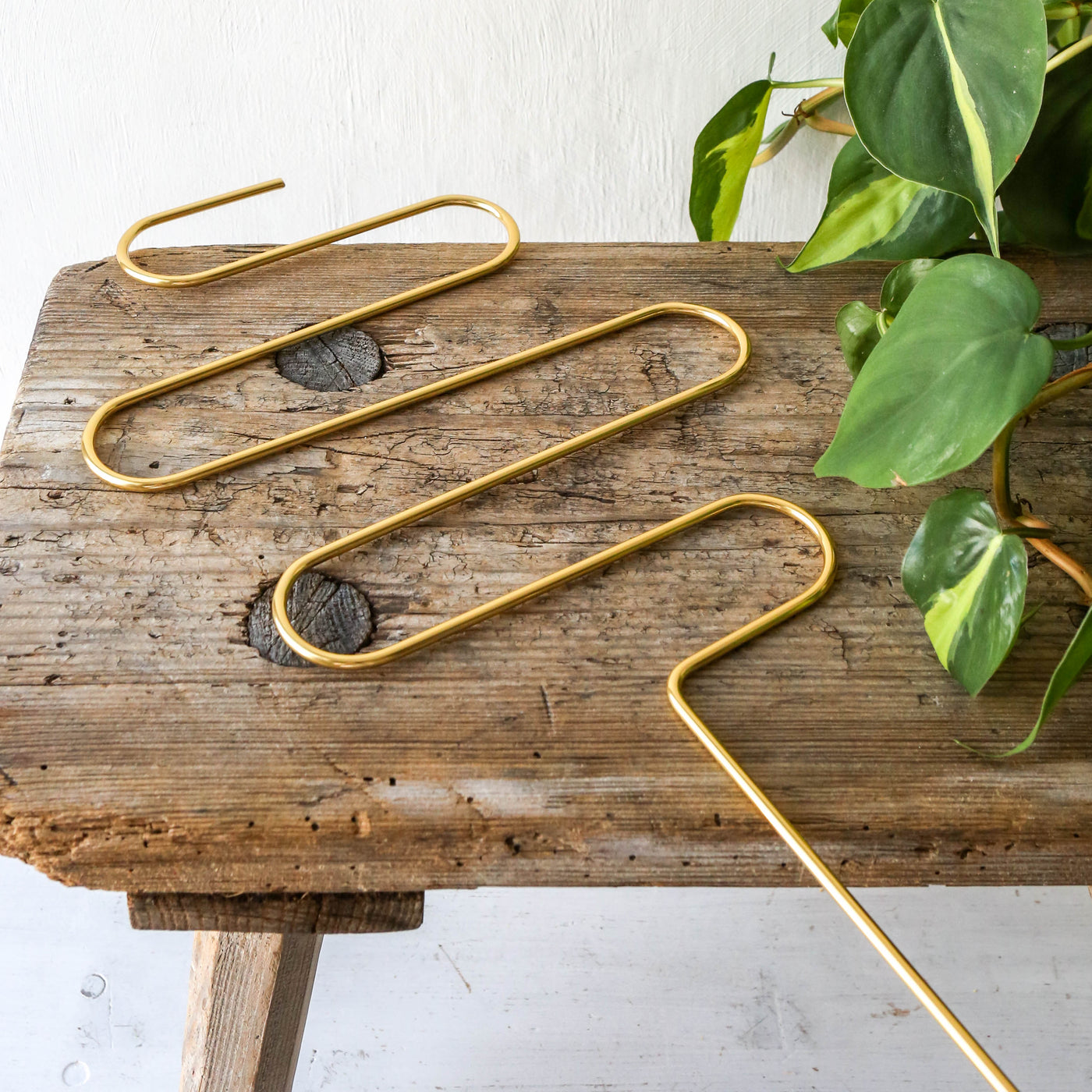 Golden Plant Stake - Squiggle