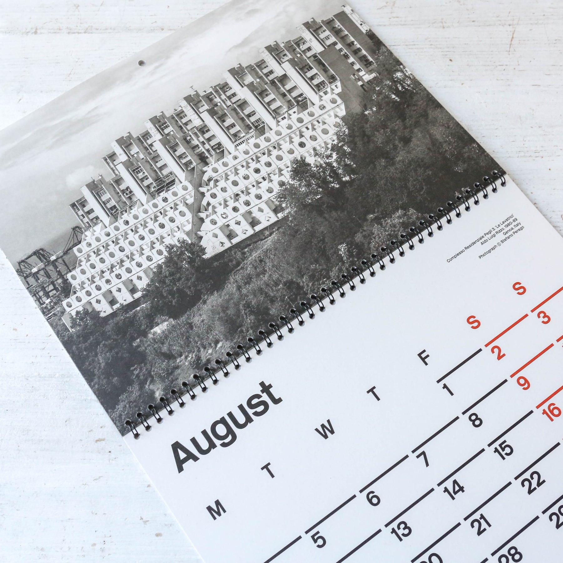 2025 Brutalist Calendar Berylune