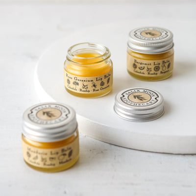 Lip Balm by Salix Moon Apothecary