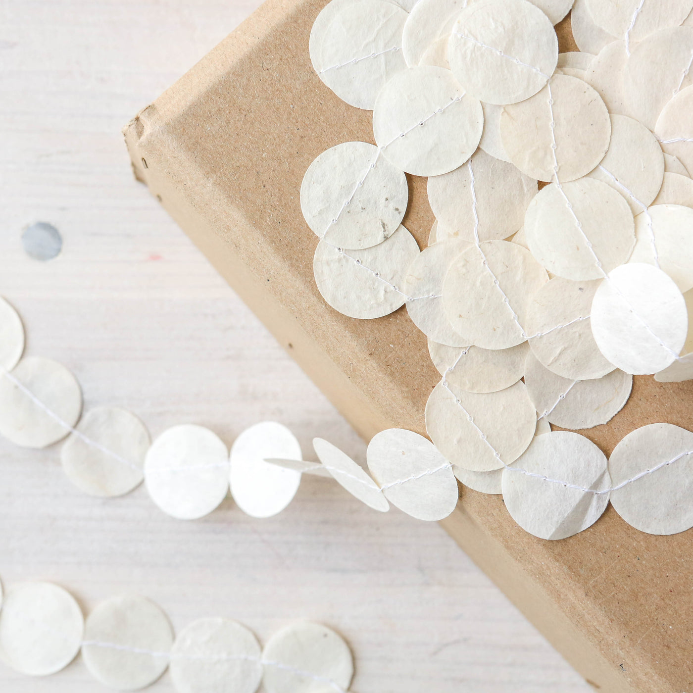 Paper Circles Garland - White