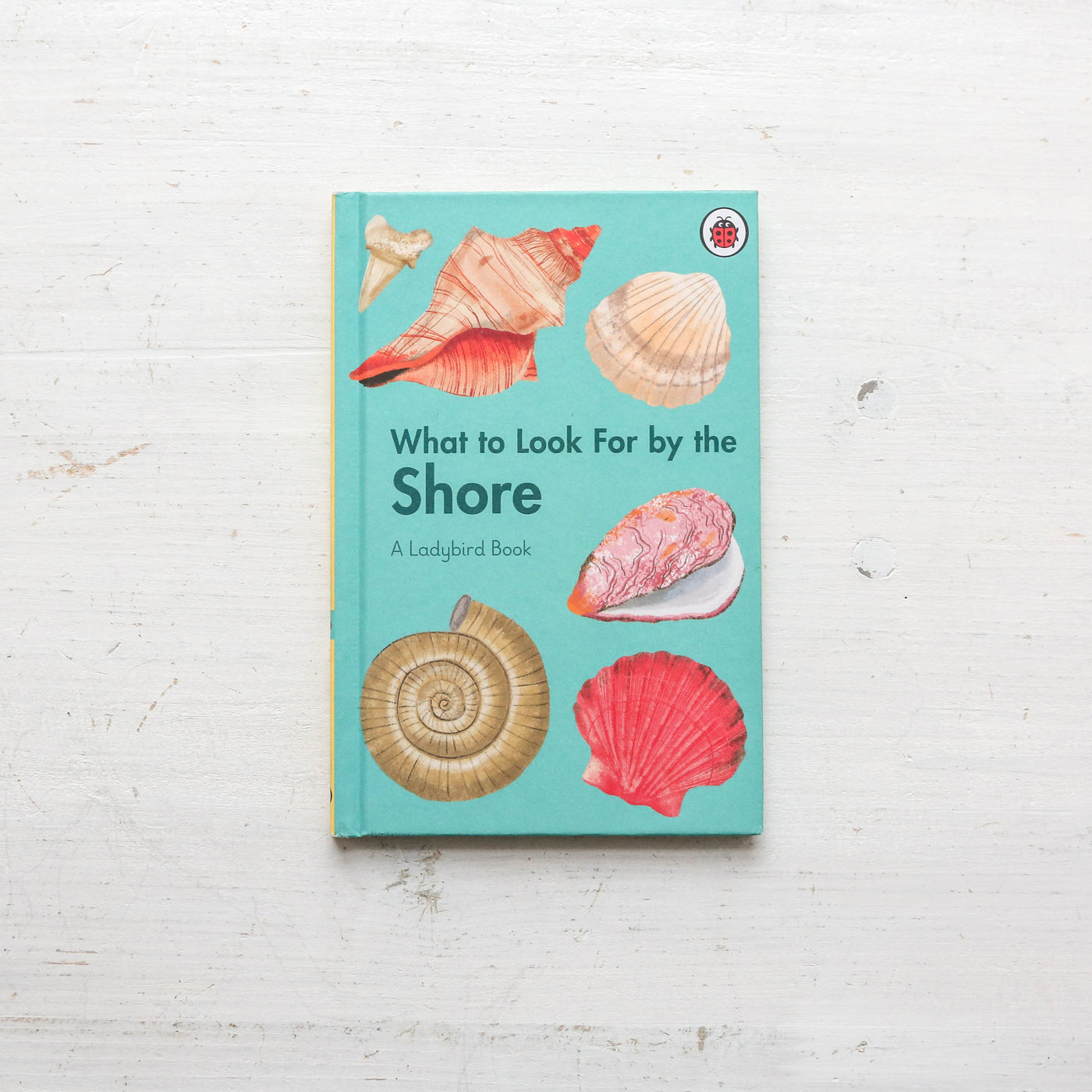 What to Look For by the Shore - A Ladybird Book