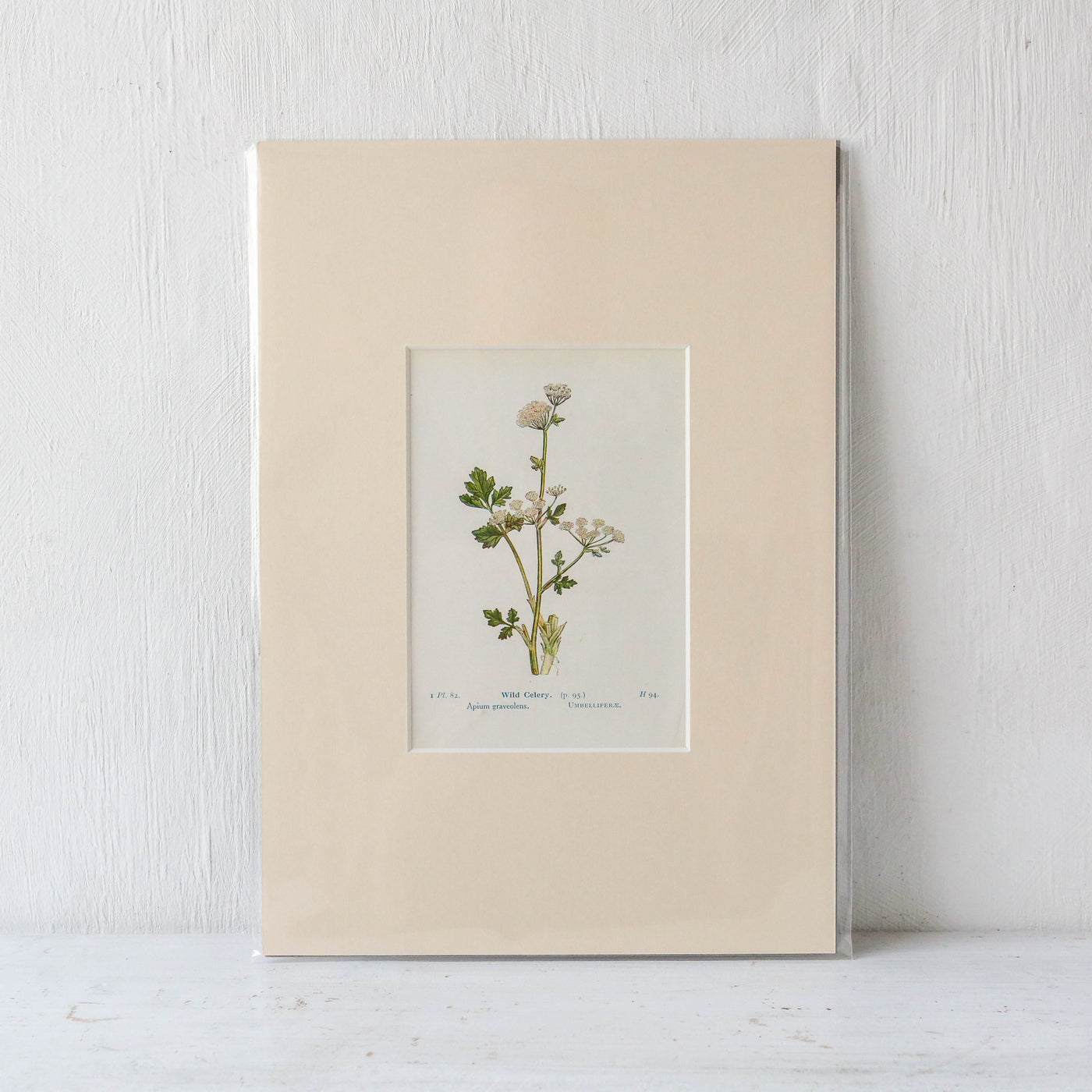 A4 Mounted Vintage Book Plate - Neutral Florals Batch 1