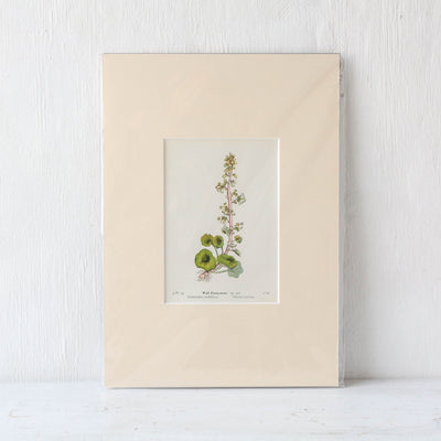 A4 Mounted Vintage Book Plate - Neutral Florals Batch 1