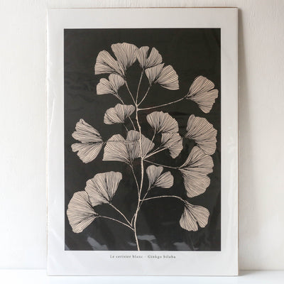 Ginkgo Biloba - 50 x 70cm