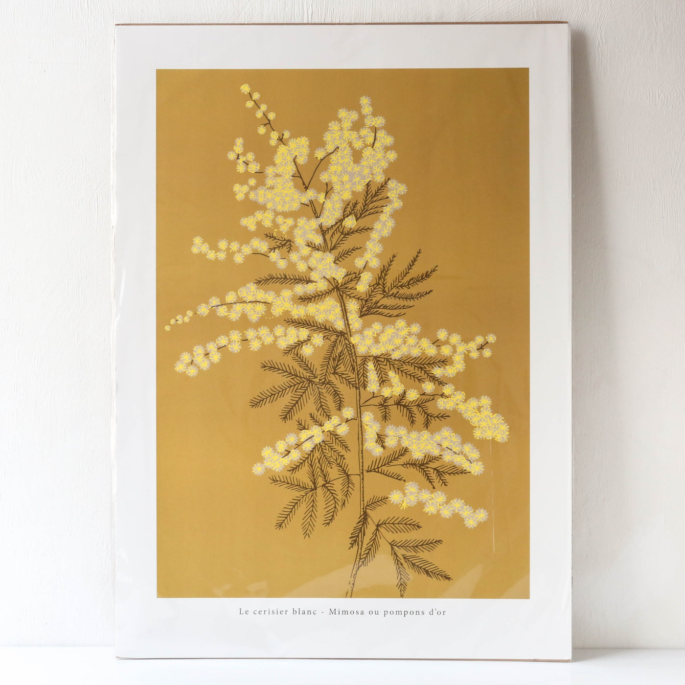 Mimosa Print - 50 x 70cm