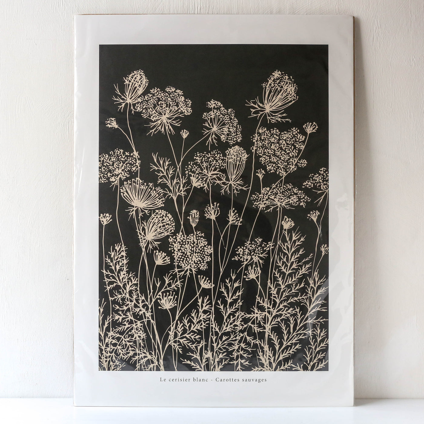 Wild Carrot 'Carottes Sauvages - Noir' - 50 x 70cm