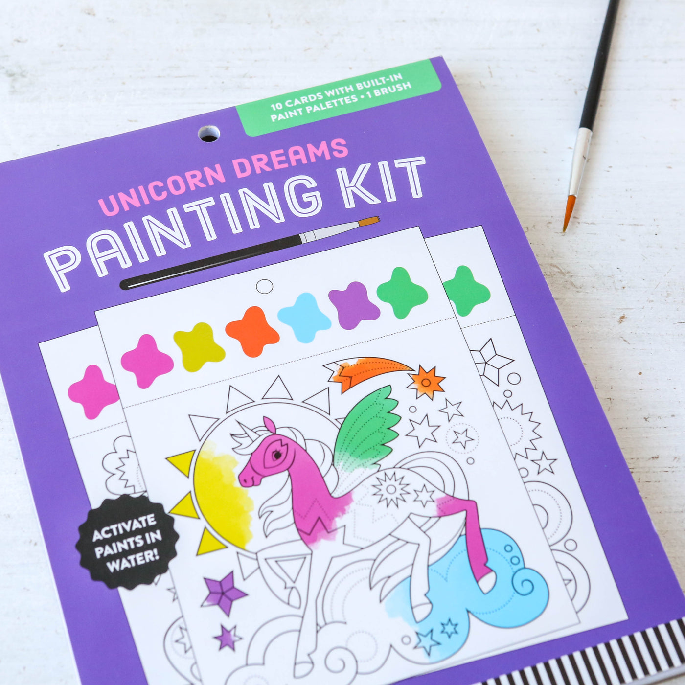 Unicorn Dreams Painting Kit