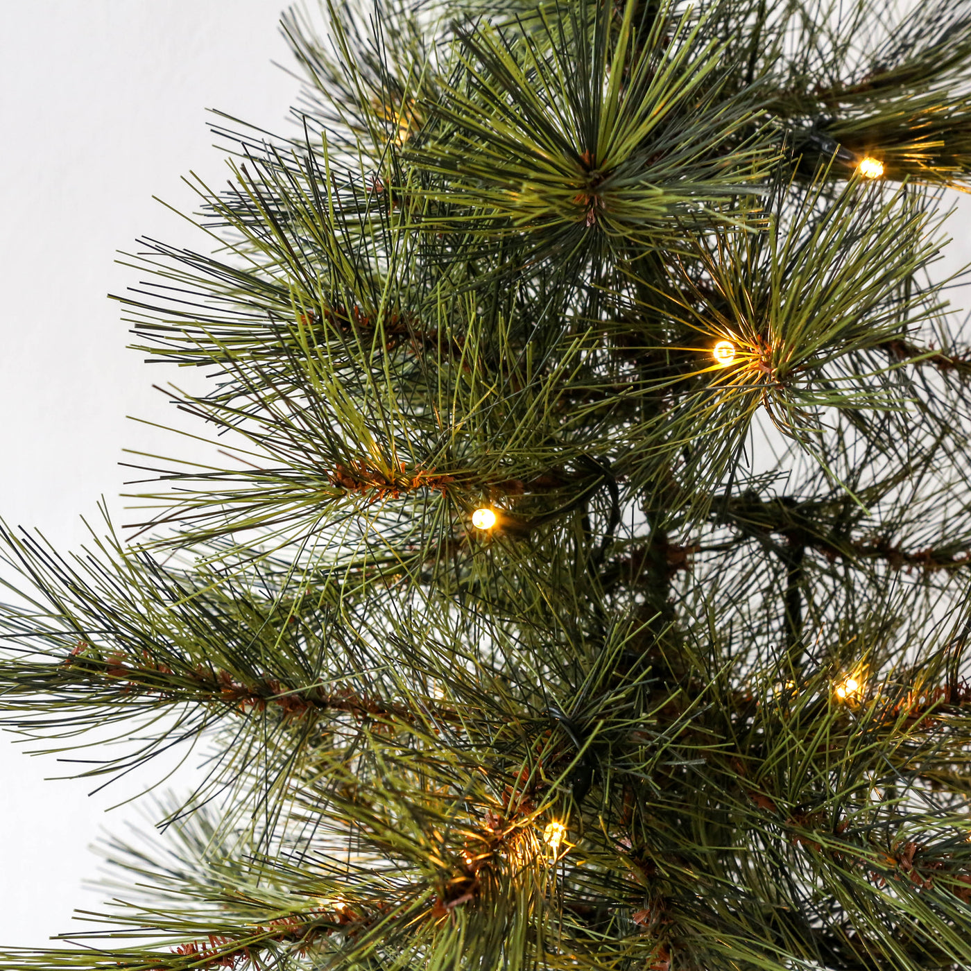 Small Christmas Tree with Lights