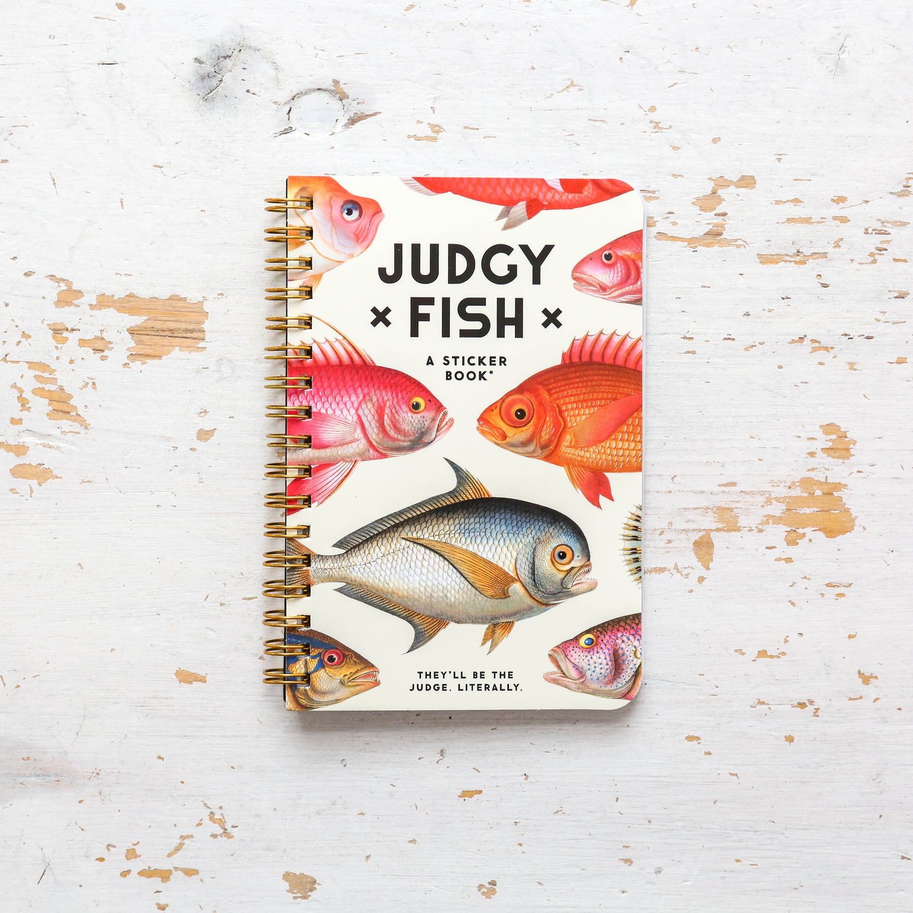 Judgy Fish Sticker Book – Galison