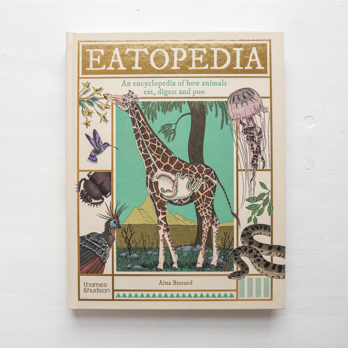 Eatopedia