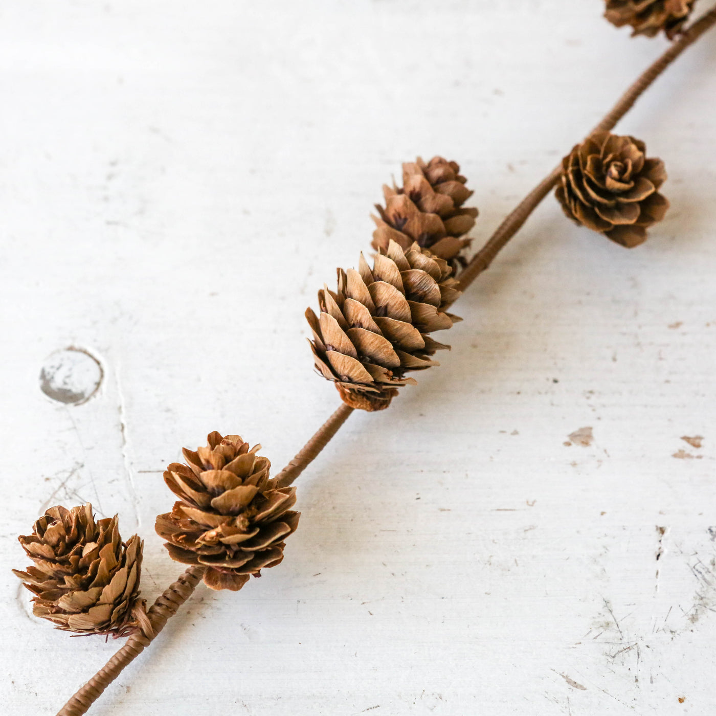 150cm Wired Real Cone Garland