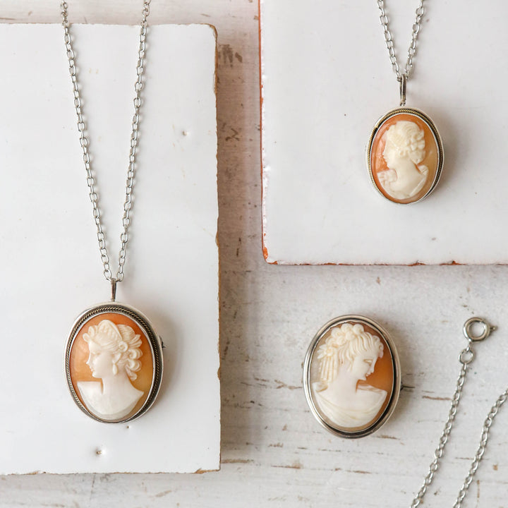 Shops Cameo Shell / Classic Gift