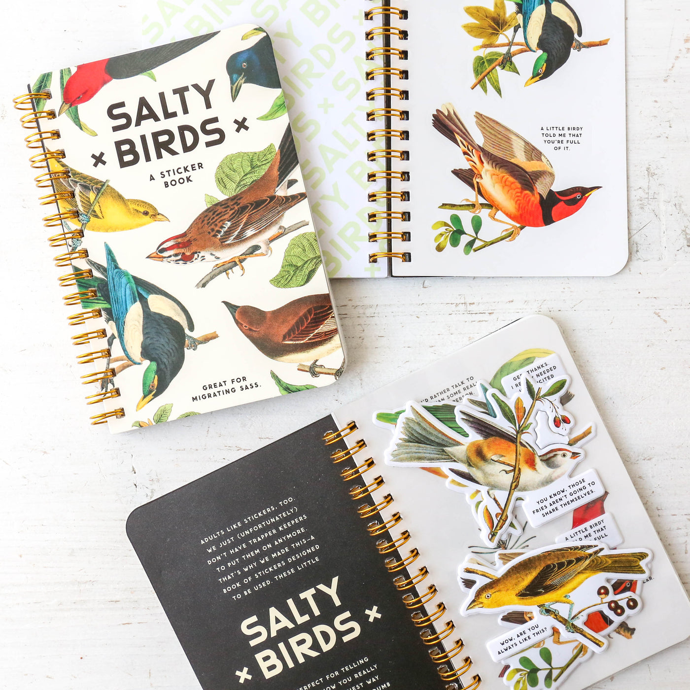 Salty Birds Sticker Book