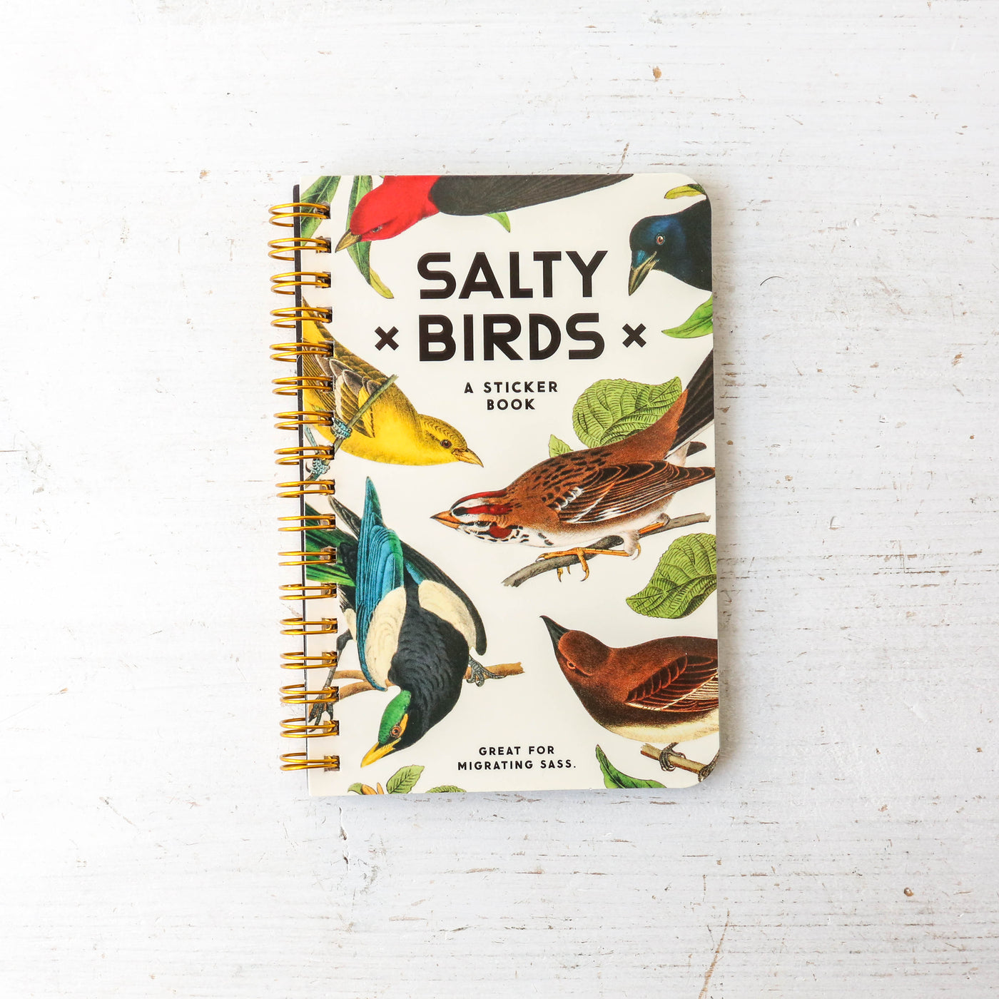 Salty Birds Sticker Book