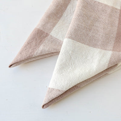 Pair of Rectangular Napkins or Placemats - Bold Pink Check