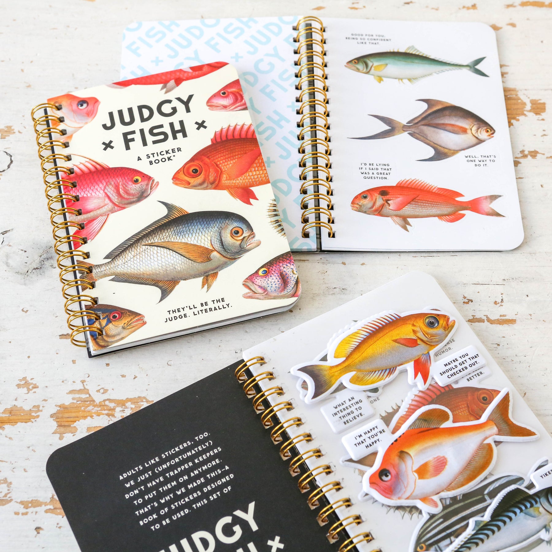 Judgy Fish Sticker Book – Galison