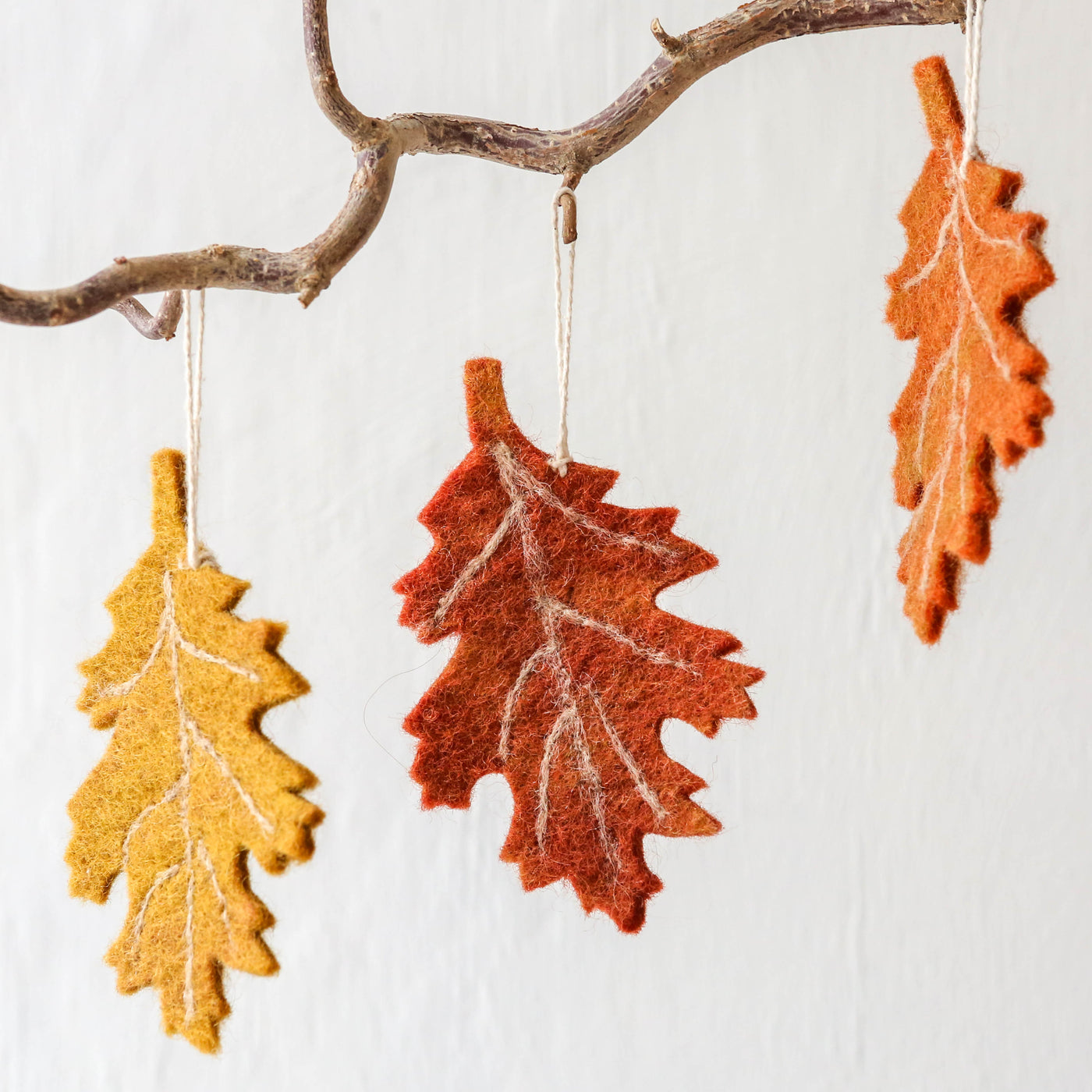 Trio of Autumn Felt Birch Leaves