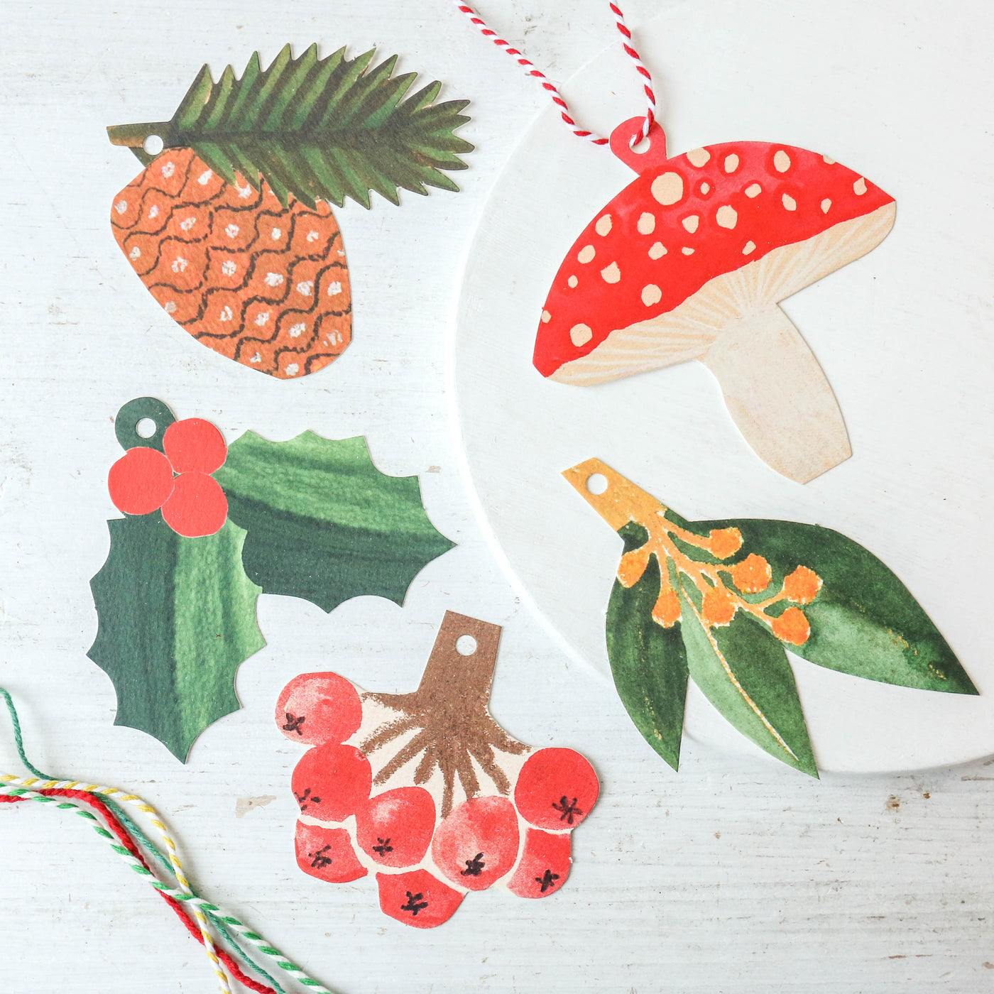 5 Festive Botanical Christmas Gift Tags