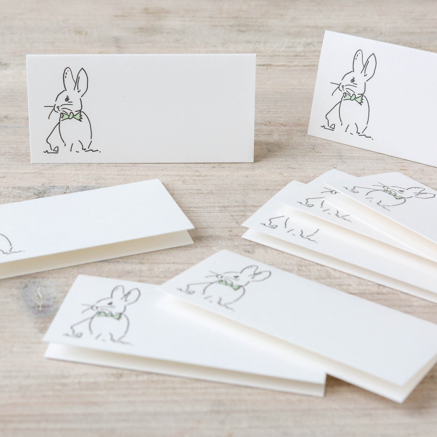 Bertie Bunny Place Cards