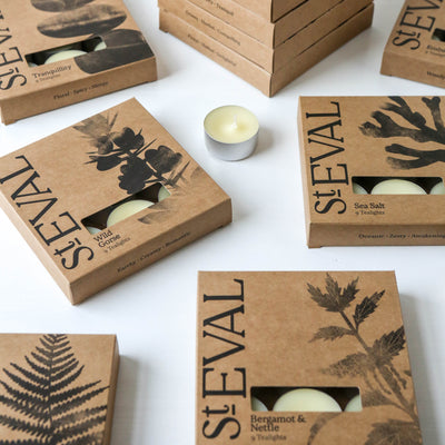 NEW St. Eval Scented Tealights - Box of 9