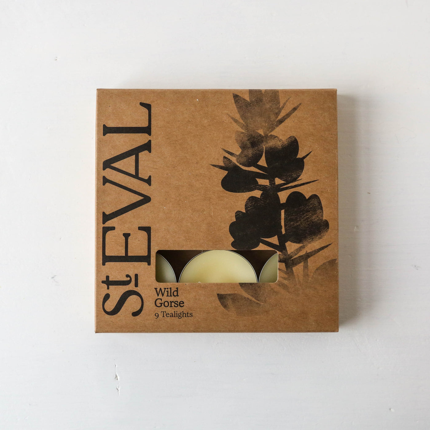 NEW St. Eval Scented Tealights - Box of 9