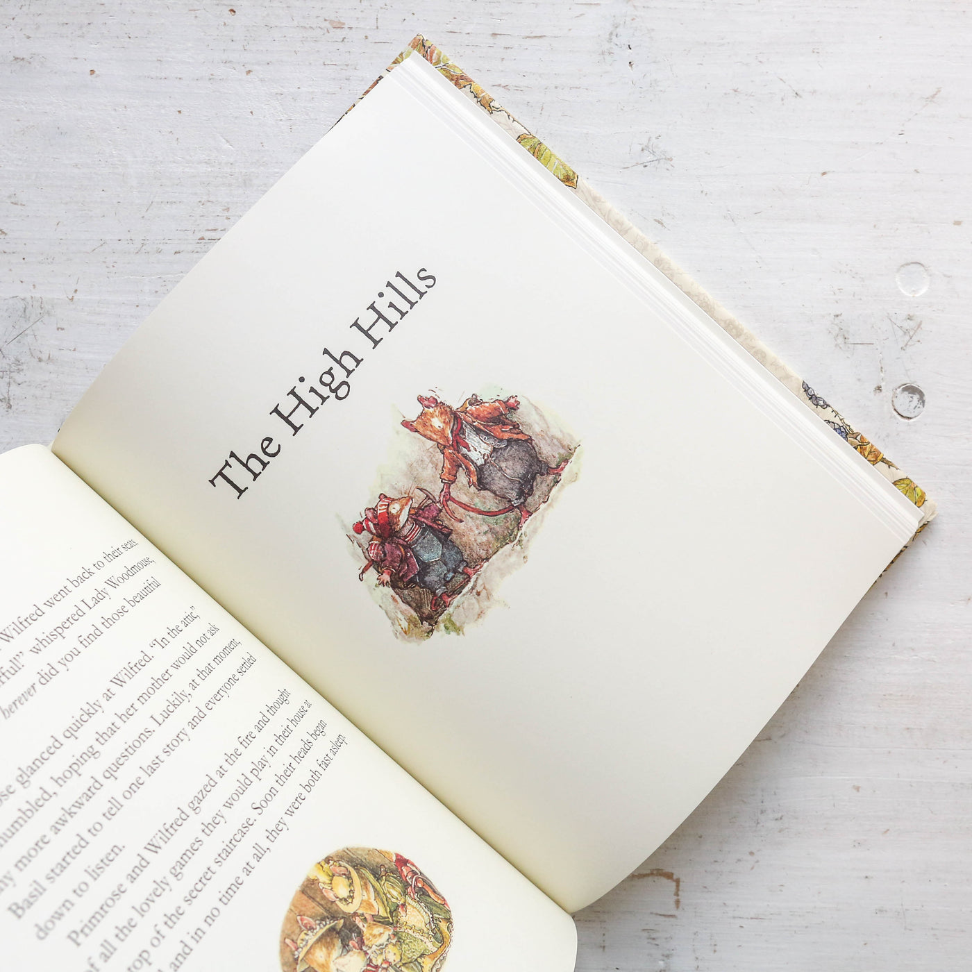 The Complete Brambly Hedge