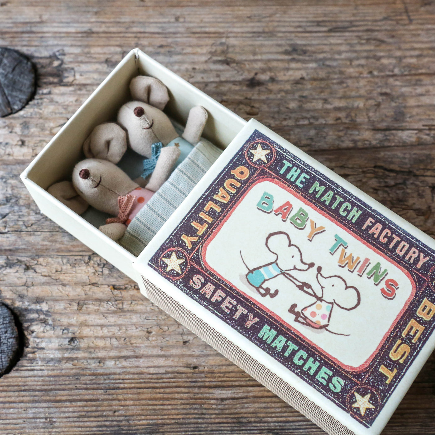 Baby Mice Twins in Matchbox