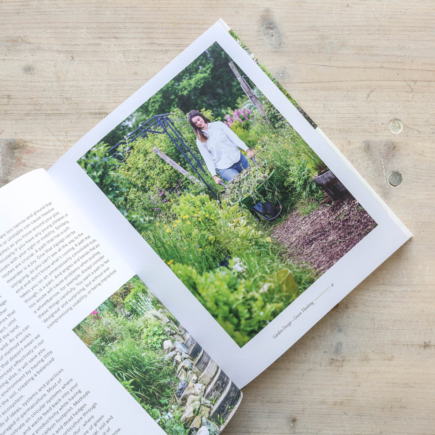 The Modern Gardener: A practical guide to gardening creatively, productively and sustainably