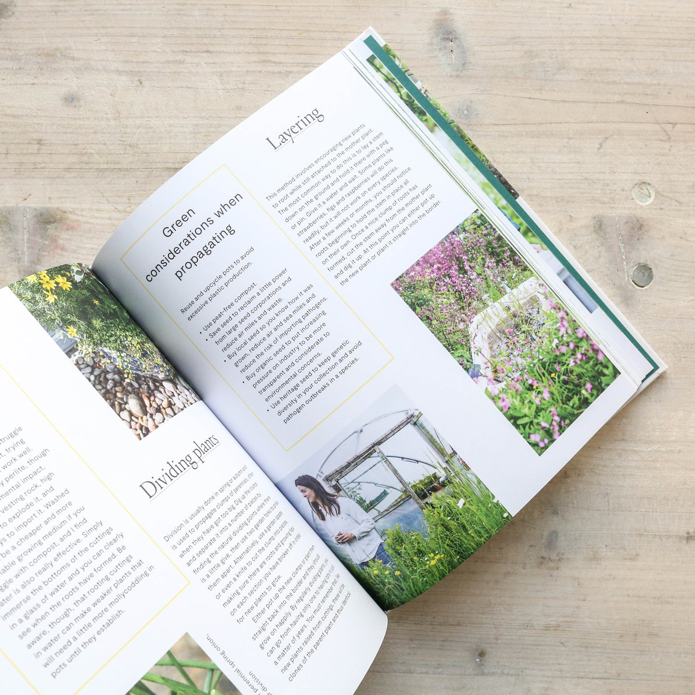 The Modern Gardener: A practical guide to gardening creatively, productively and sustainably