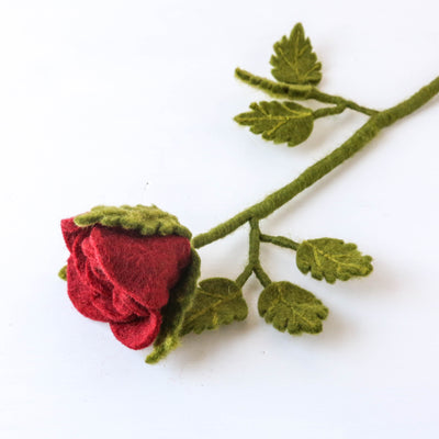 Long Felt Red Rose