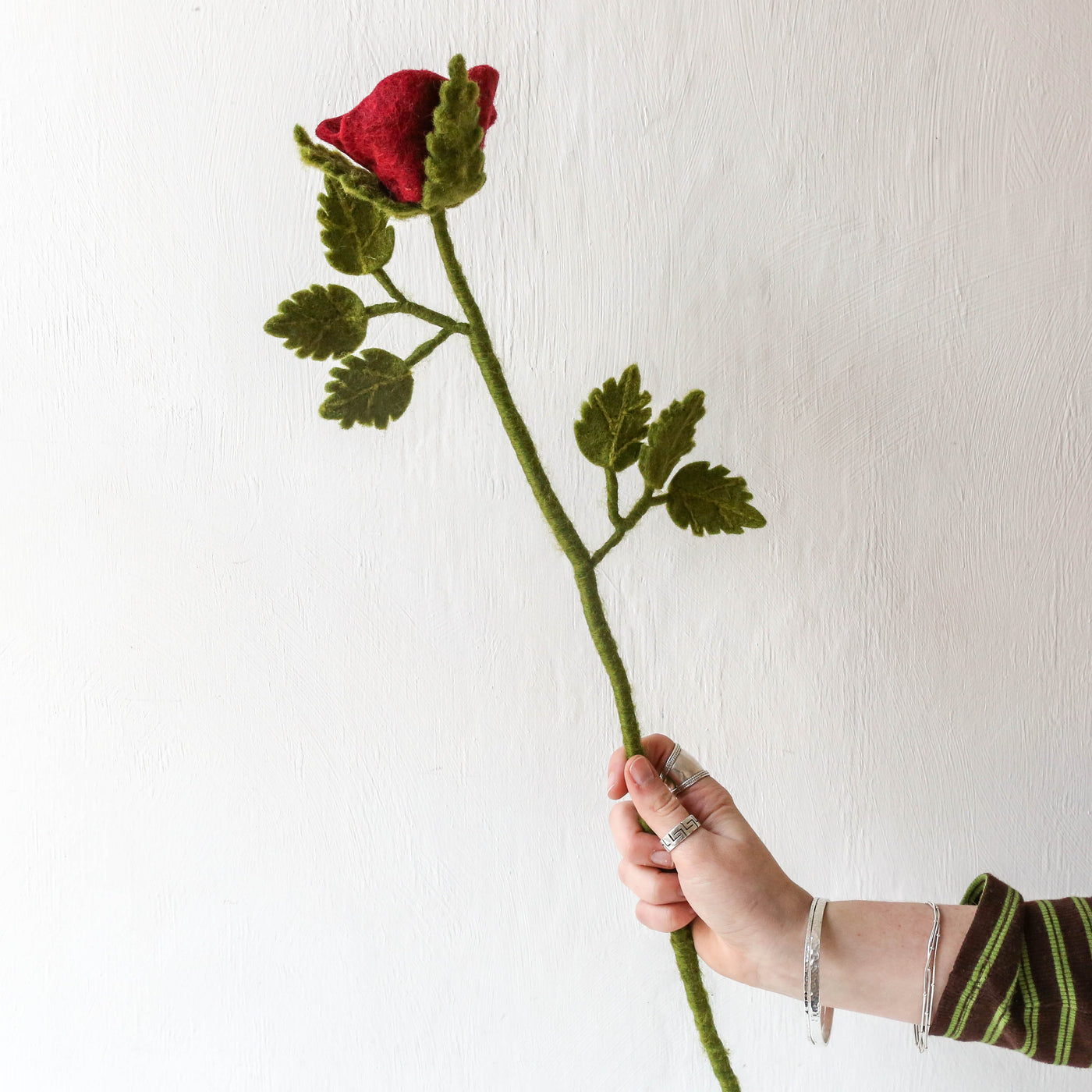 Long Felt Red Rose