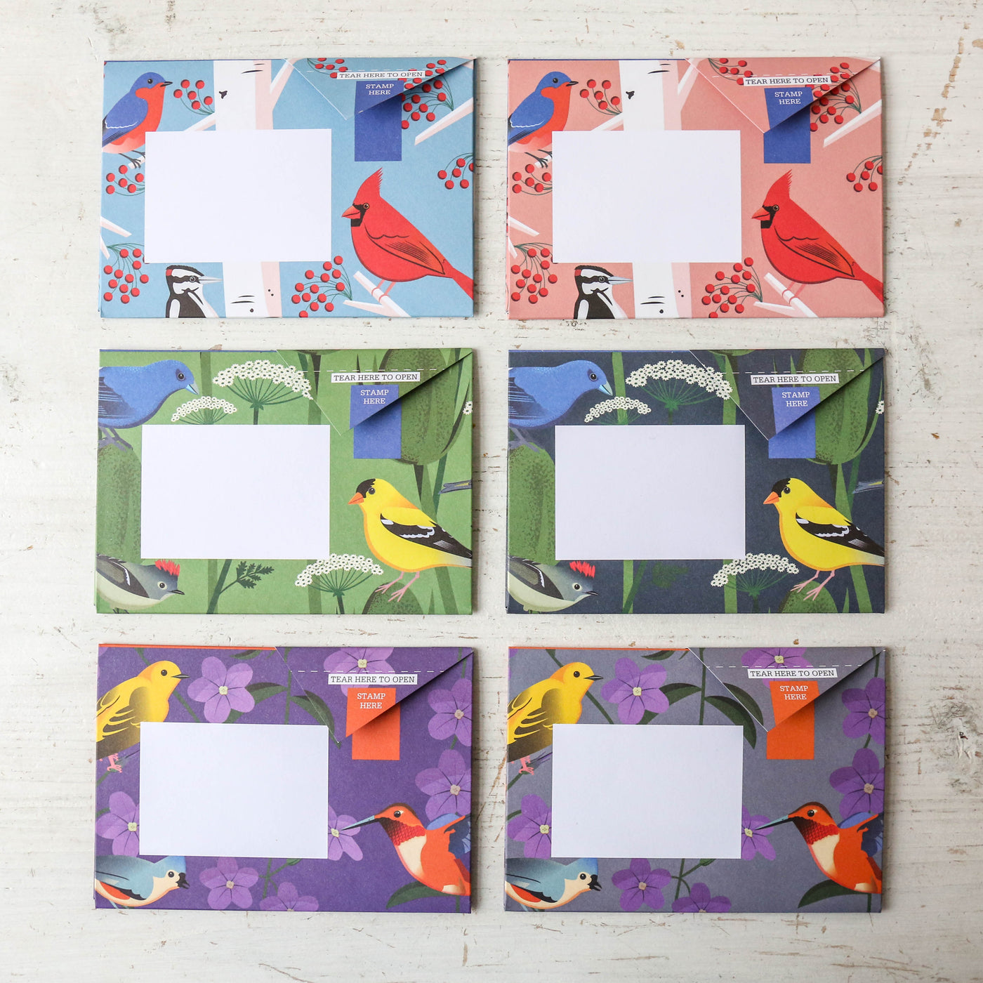 Pigeon Letter Set - Carnival of Colour