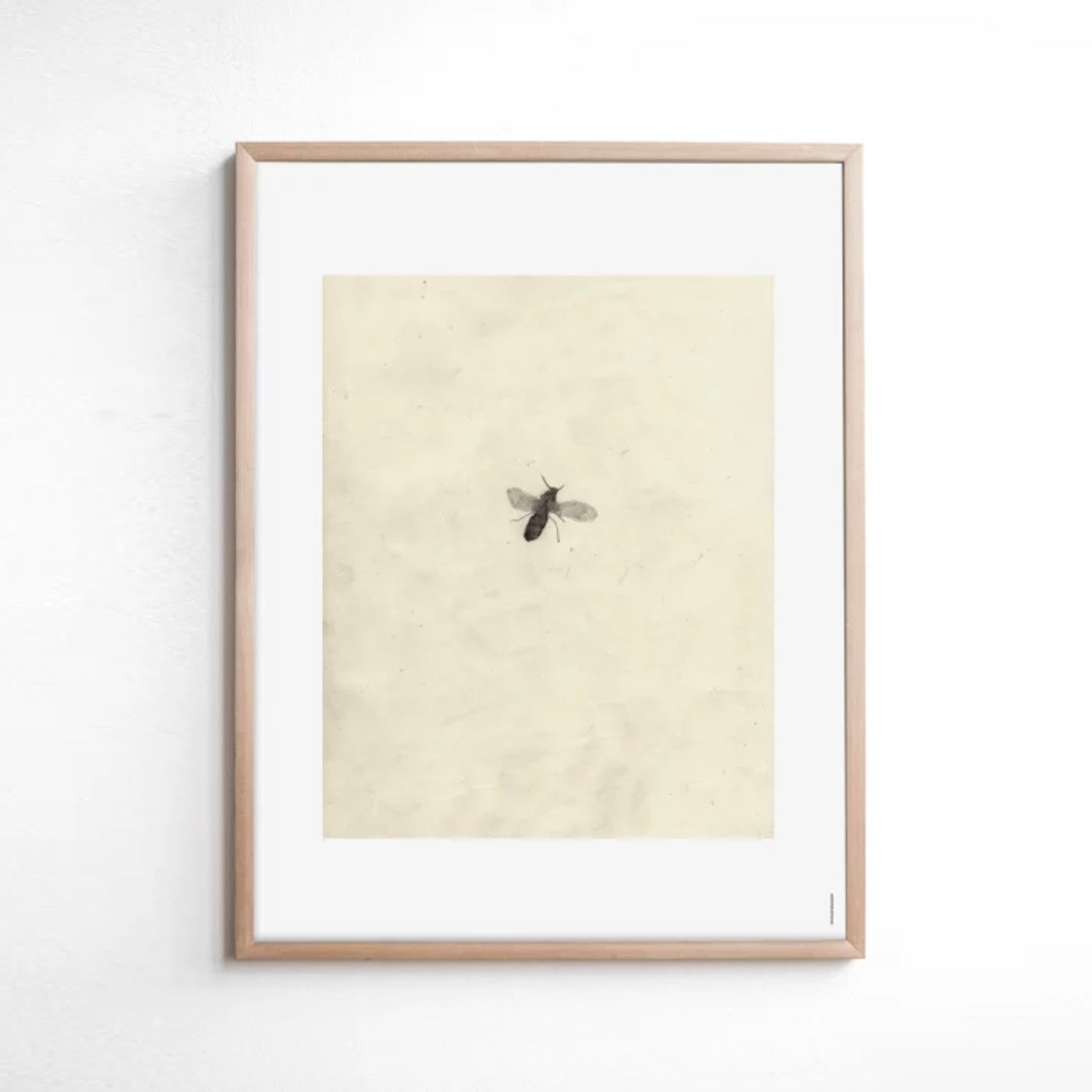 'Fly' Print by Brian McHenry 40x50cm