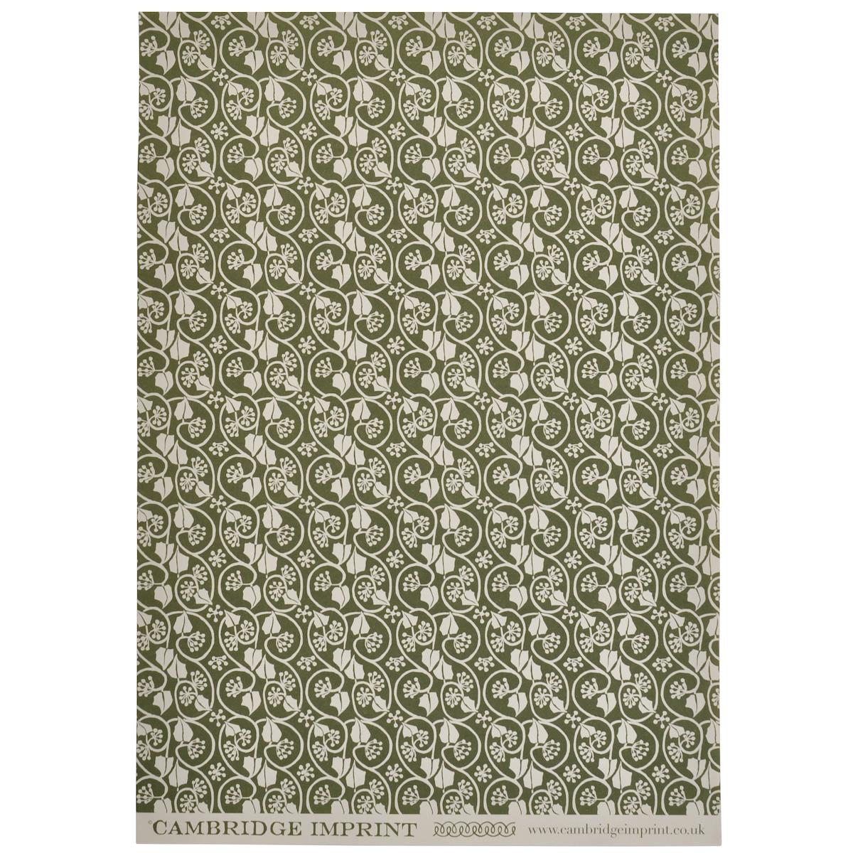 'Ivy Stripe Sage' Wrapping Paper