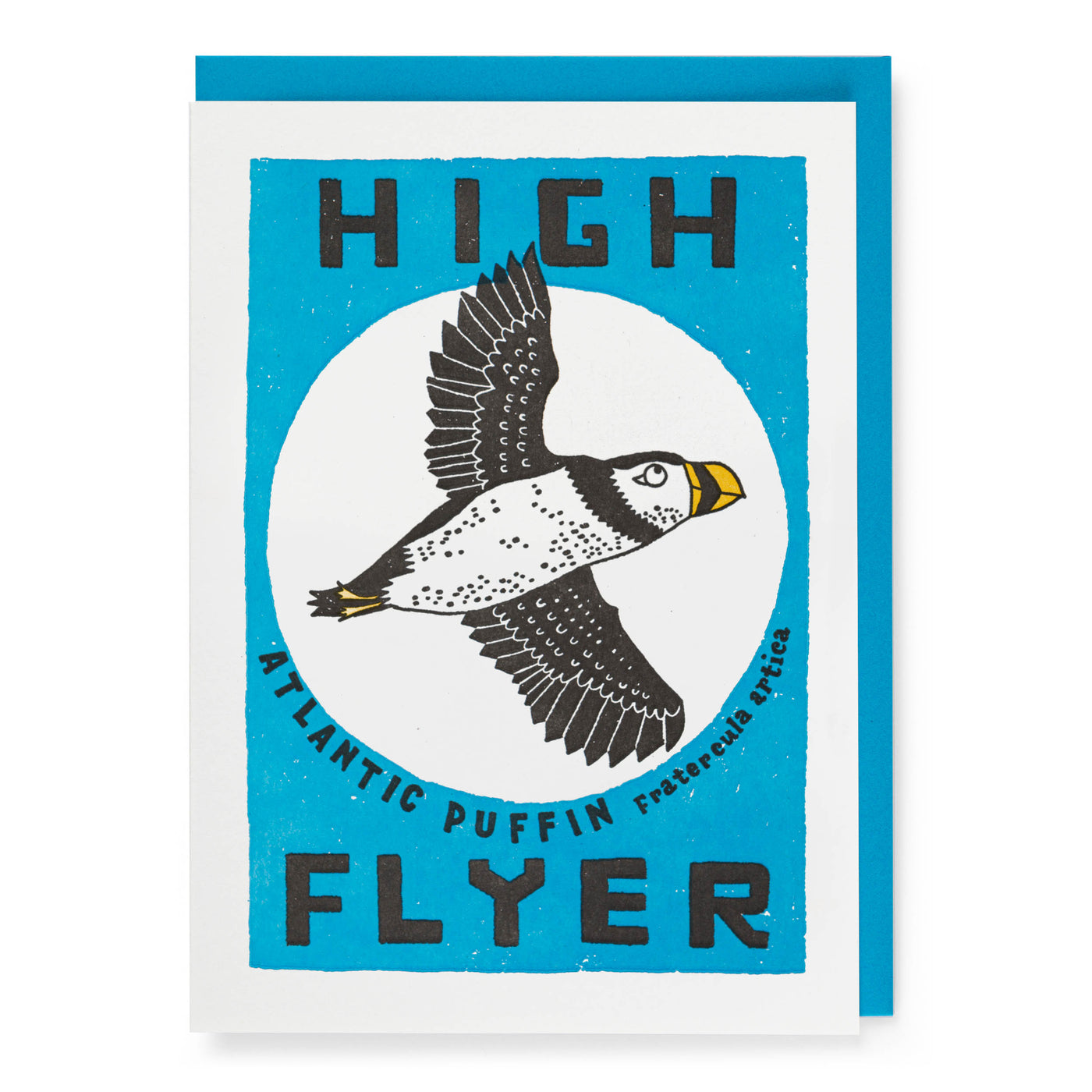 Puffin Island 'High Flyer' Card