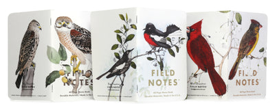 Field Notes - Birds & Trees of North America, Fall 2024
