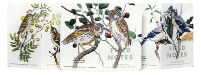 Field Notes - Birds & Trees of North America, Fall 2024