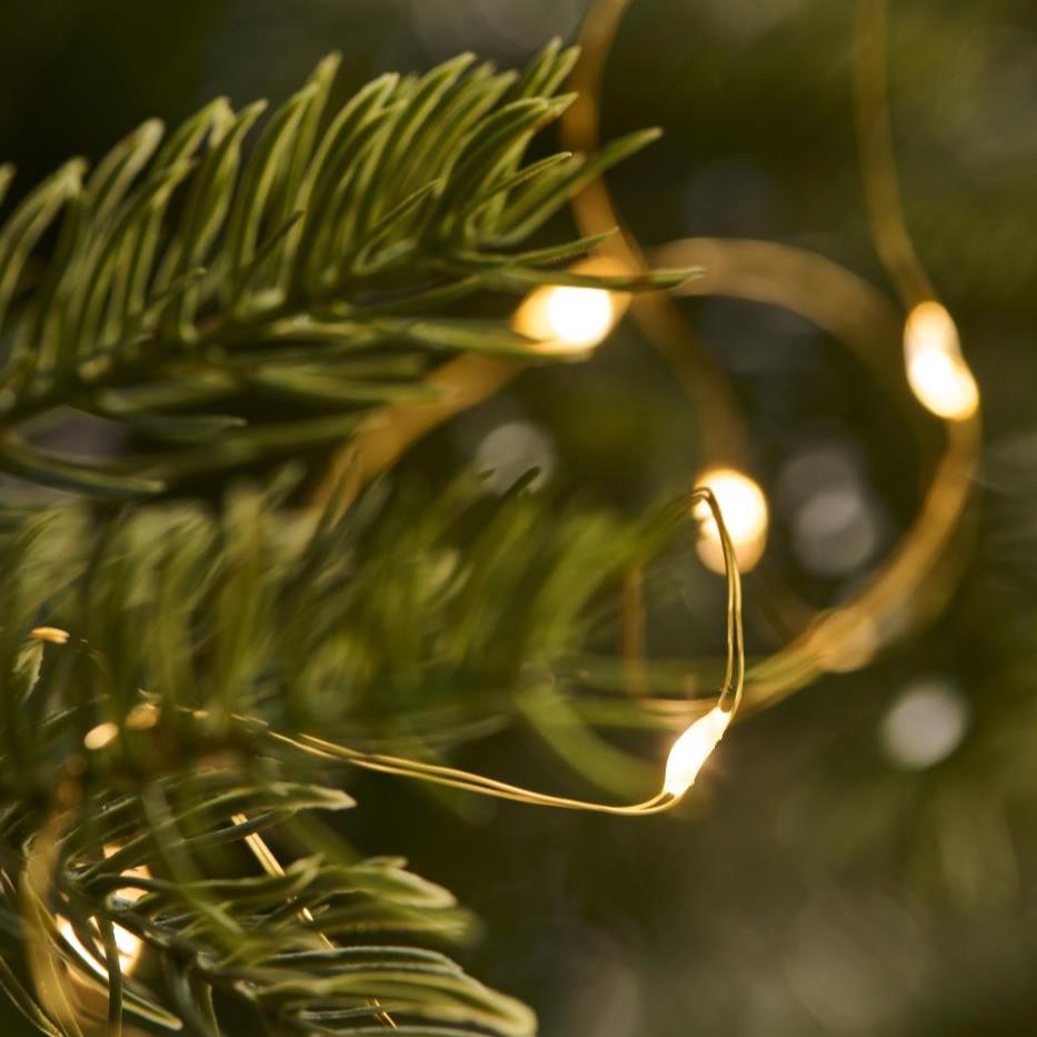 Gold Wire String Lights - 40 lights 4.2m, Battery Powered, Outdoor