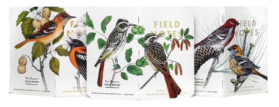 Field Notes - Birds & Trees of North America, Fall 2024